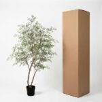 Potted leafy plant beside a tall brown cardboard box on a white background.