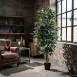 Tall potted ficus tree by a large industrial-style window in a rustic living room with a leather armchair and shelving.