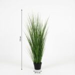 Tall potted ornamental grass plant with long slender green leaves in a black pot, shown with a height of 130 cm and a 18 cm pot diameter for scale.
