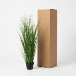 Tall green ornamental grass in a black pot next to a tall brown shipping box on a white background.
