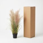Potted ornamental grass plant beside a tall cardboard shipping box on a white background and flooring.
