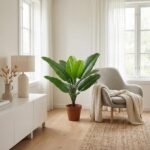 Sunny living room with a tall green plant in a terracotta pot, a gray armchair with a blanket, white cabinet, and natural light from the windows.