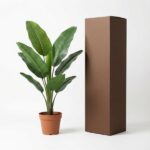 Green leafy potted plant beside a tall brown cardboard box on a white background, suggesting packaging or delivery of a plant.