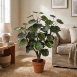Large potted houseplant with round green leaves sits on a wooden floor beside a beige sofa in a sunlit living room.