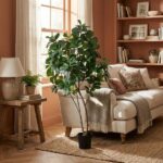 Sunlit living room with a tall leafy indoor tree in a black pot beside a cream sofa and woven rug on the floor.