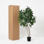Tall cardboard box next to a potted leafy indoor plant on a white background.