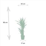 Potted plant with height 90 cm and pot diameter 17 cm; 30 cm of horizontal clearance shown around it.