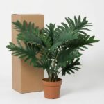 Tall cardboard box beside a potted tropical plant with large, split green leaves in a terracotta pot