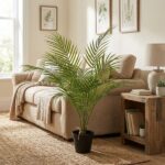 Tall potted palm in a beige living room with a sofa, rug, and wooden side table.