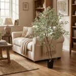 Cozy living room with a beige sofa, throw blanket, and a tall potted plant by a sunlit window.