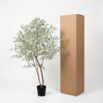 Potted leafy plant in a black pot standing beside a tall cardboard box on a white background