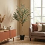 Tall potted olive tree in a sunlit living room beside a coral cabinet and a beige sofa with colorful cushions.