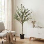 Tall potted olive tree beside a beige armchair with a throw, in a bright living room.