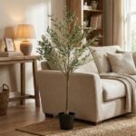 Potted olive tree placed in a cozy living room beside a sofa and wooden side table.