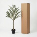Small potted olive tree beside a tall brown shipping box on a white background.