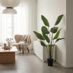 Minimalist living room with a tall leafy plant in a black pot, a beige armchair with a throw, and a wooden coffee table near large windows.