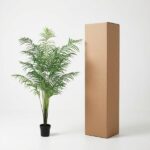 Potted palm plant beside a tall brown cardboard box on a white background, indoors.