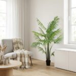 Bright living room with a tall potted palm next to a light sofa and a beige plaid throw.