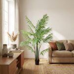 Tall potted palm plant in a bright living room with a beige sofa and wooden floor.