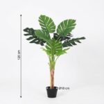 Tall potted monstera plant with large split green leaves in a black pot; height 120 cm, pot diameter 18 cm.