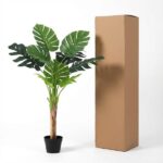 Tall cardboard box standing next to a potted monstera plant with large green leaves; white background.