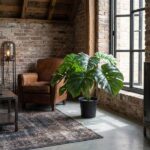 Brown leather armchair next to a large Monstera plant in a sunlit brick-walled room with exposed beams and a black-framed window.