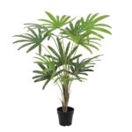 Indoor potted palm plant with multiple green fronds extending upward from a black pot
