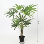 Tall indoor palm plant with lush green fronds in a black pot, approximately 120 cm tall (20 cm pot diameter).