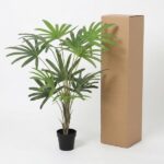 Potted palm plant next to a tall cardboard shipping box on a white background.
