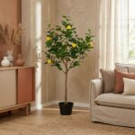Potted lemon tree with ripe yellow lemons in a bright living room beside a beige sofa.
