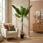 Tall potted banana plant in a neutral living room by a beige wall and a sofa with pillows.