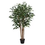 Tall indoor artificial ficus tree with multiple brown trunks in a black pot