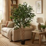 Tall indoor ficus tree in a black pot beside a beige sofa in a cozy living room with a lamp, books, and framed fern print.