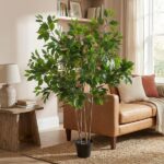 Tall indoor ficus plant in a black pot, placed beside a tan leather sofa in a bright living room.