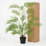 Potted palm plant with long green fronds beside a tall brown cardboard box in a studio setting.