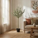 Tall potted olive tree in a sunlit living room beside a beige sofa and neutral decor.