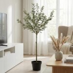 Indoor potted tree (olive-like) in a bright living room with a black pot and light wooden floor next to a white TV stand and beige sofa vignette.