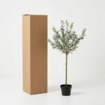 Tall brown shipping box standing upright beside a small potted tree on a white surface.