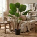 Living room scene with a tall green palm in a black pot beside a beige sofa, throw blanket, and wooden side table.