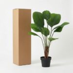 Tall cardboard shipping box beside a potted fan palm plant on a white background.