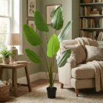 Tall green potted plant with large leaves beside a beige sofa in a cozy living room.”] ,