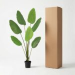Tall cardboard box stands beside a potted indoor plant with large green leaves.