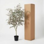 A small potted tree next to a tall brown cardboard box on a white background, suggesting packaging for the plant.