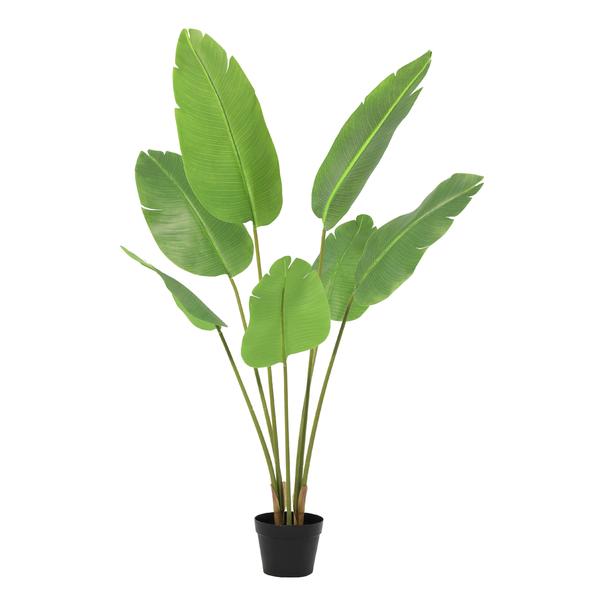 Potted tropical plant with tall green leaves in a black pot, decorative indoor greenery.