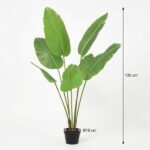 Tall indoor plant with large green banana-like leaves in a black pot; overall height about 135 cm and pot diameter 19 cm (Ø19 cm).