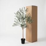 Small potted olive tree next to a tall cardboard shipping box in a clean studio setting, greenery and brown box.