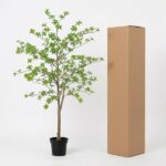 Small potted tree with green leaves beside a tall brown cardboard box on a white background.