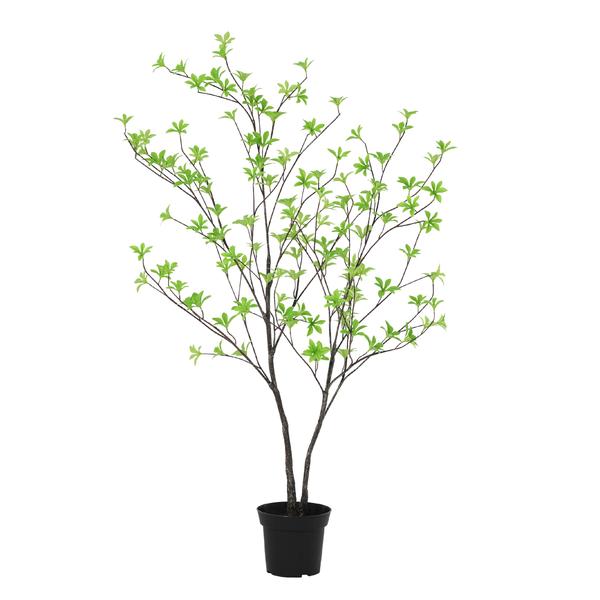 Small decorative tree in a black pot with thin dark stems and bright green new leaves.