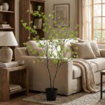 Potted ornamental tree with bright green leaves stands beside a beige sofa in a cozy living room.