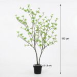 Small potted tree with multiple slender trunks and bright green new leaves, measuring about 110 cm tall with an 18 cm diameter pot.